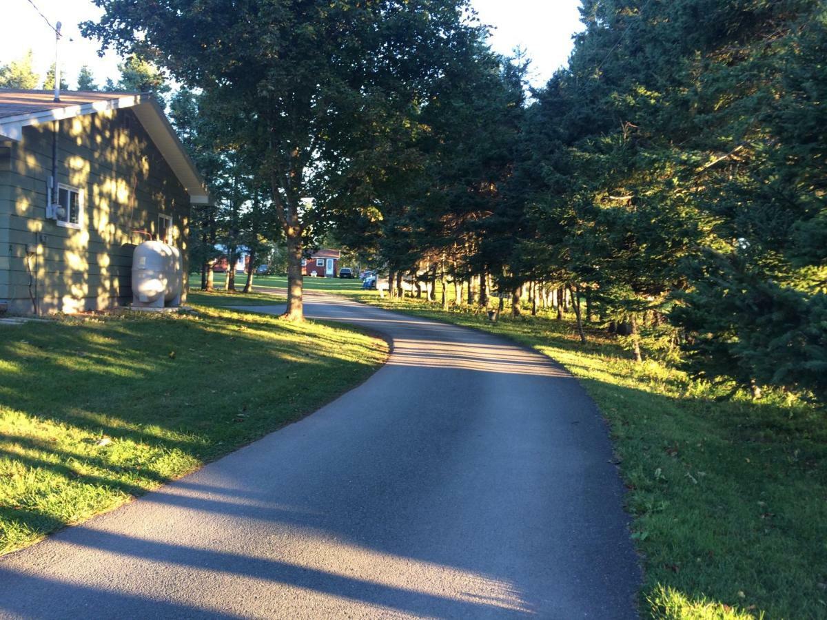 Surrey Rachel'S Motel And Cottages מראה חיצוני תמונה